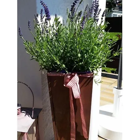 Bergzauber Appartement Oberstdorf